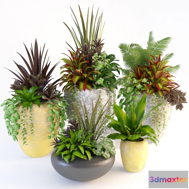 1606342 - decoration - Plants 84 3D Max