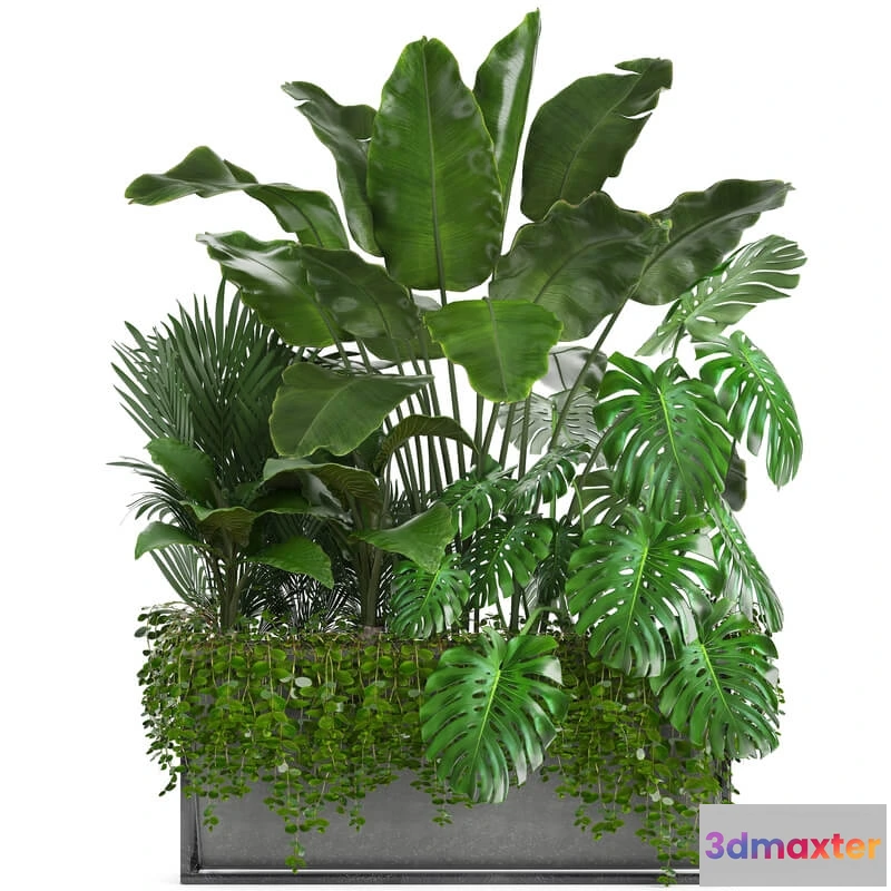 1606344 - decoration - Plant collection 244 3D Max