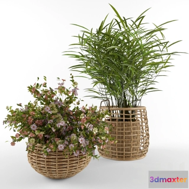 1606358 - decoration - Plant 97 3D Max