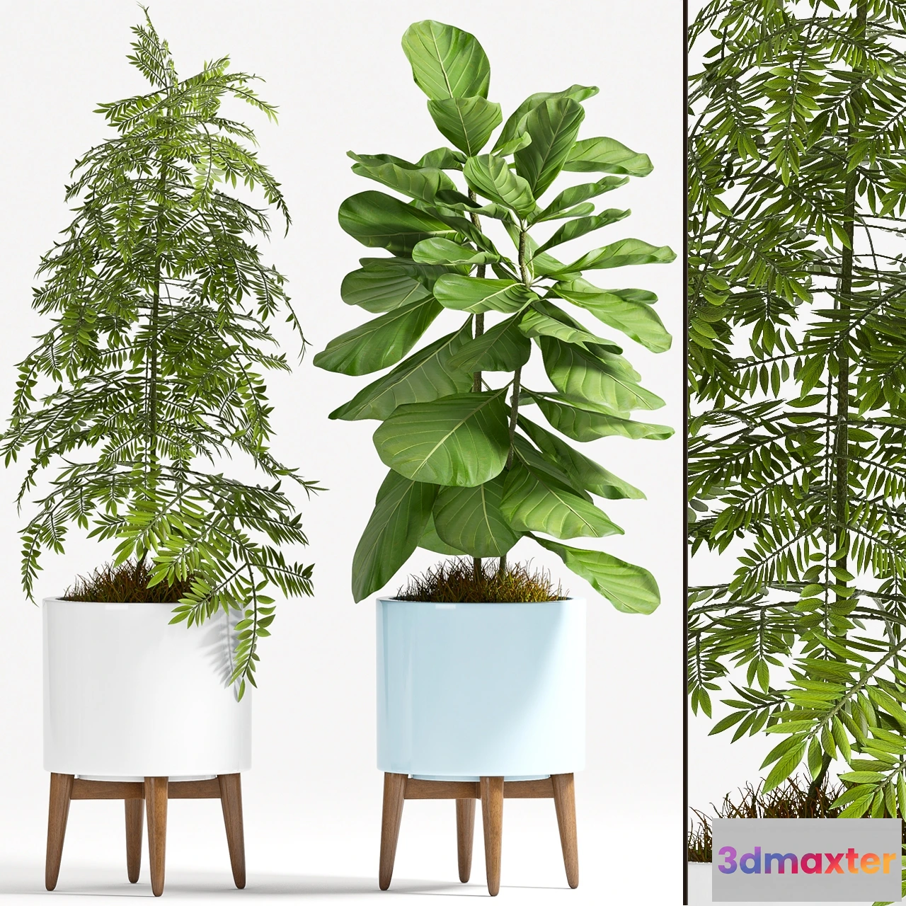 1606360 - decoration - Plant Set - 77 3D Max