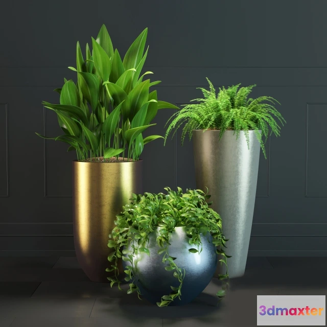 1606368 - decoration - Plant Set 0 01 3D Max