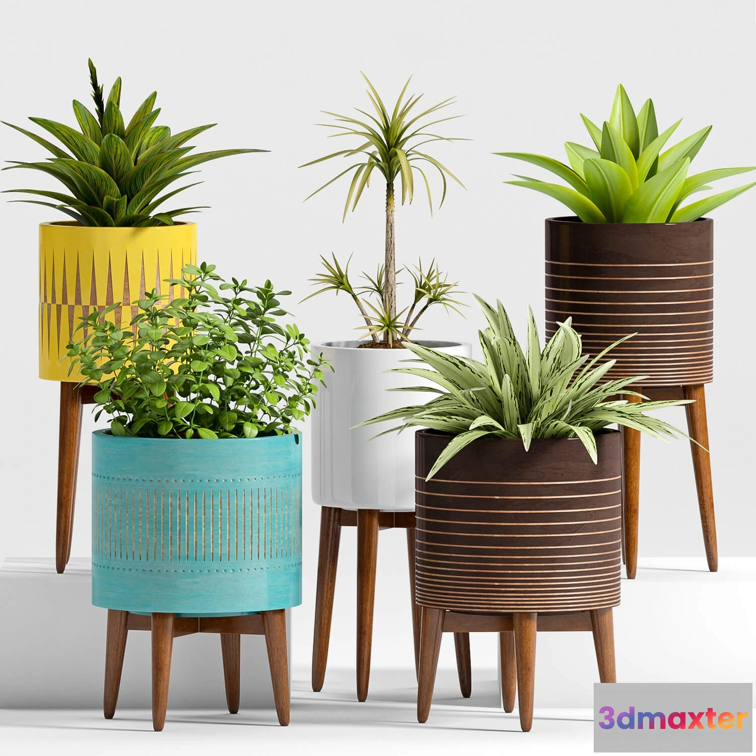 1606376 - decoration - Plants in pots 24 3D Max