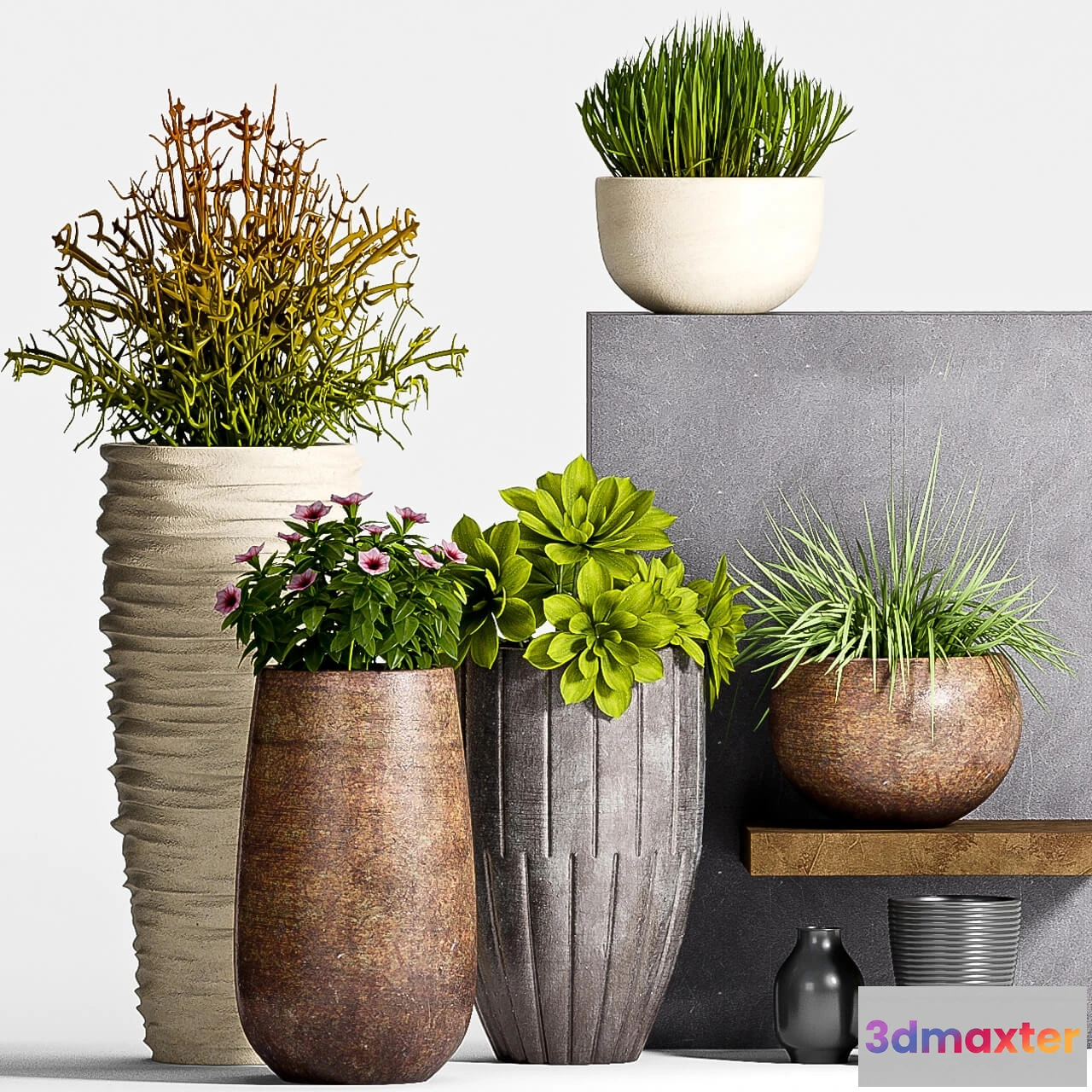 1606380 - decoration - Plant Set - 63 3D Max