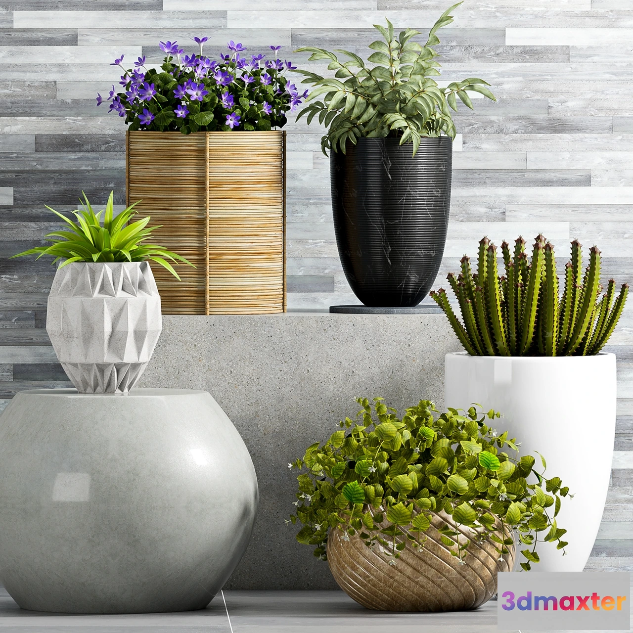 1606382 - decoration - Plant Set - 72 1 3D Max
