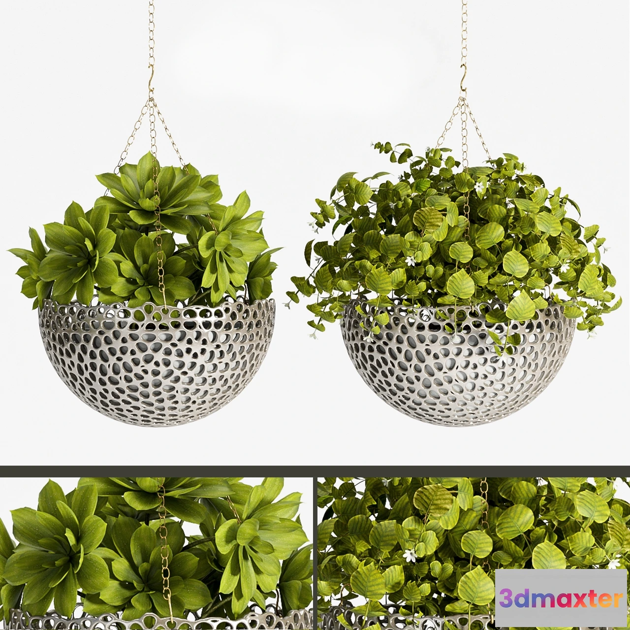 1606384 - decoration - Plant -62 3D Max