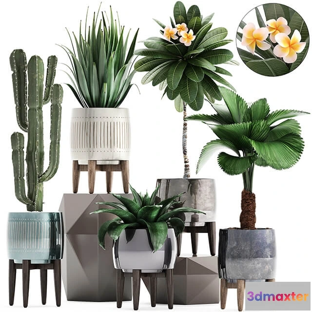 1606392 - decoration - Plant collection 292 3D Max