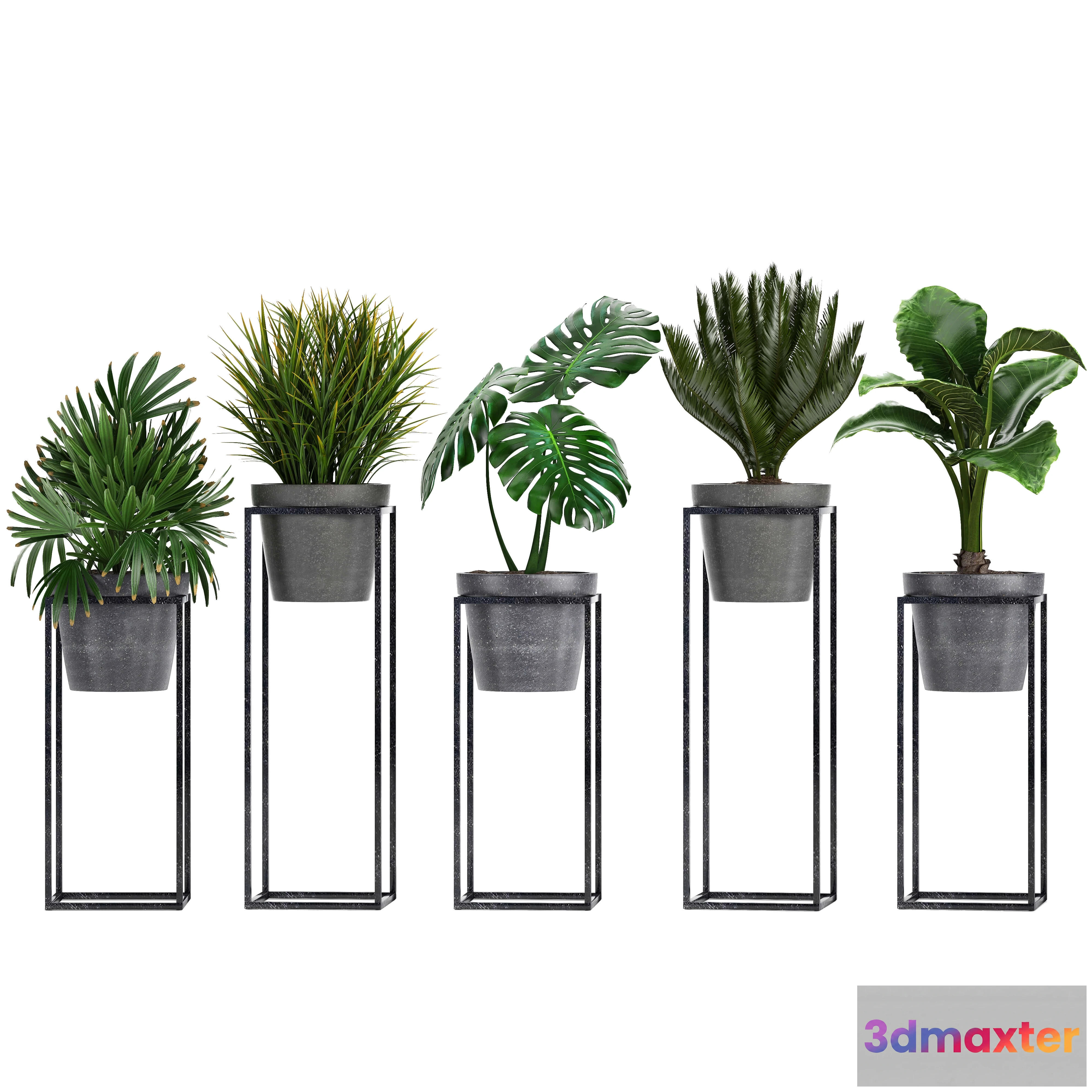 1606394 - decoration - Plant collection 241 3D Max