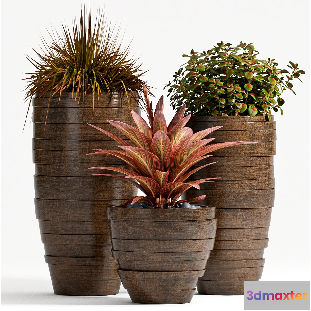 1606396 - decoration - Plant Set - 72 3D Max