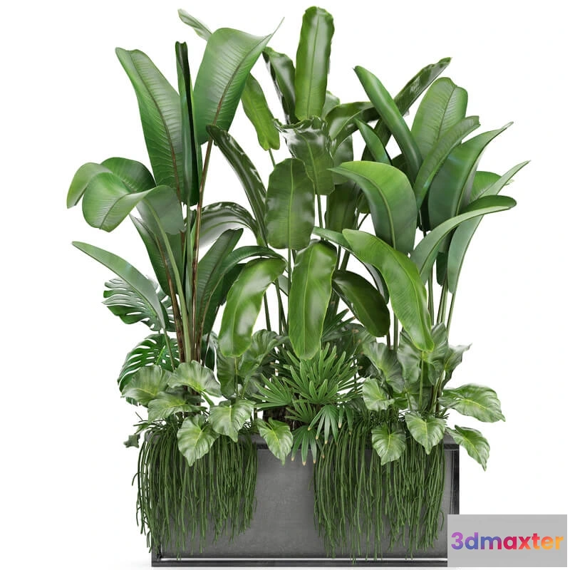 1606398 - decoration - Plant collection 243 3D Max