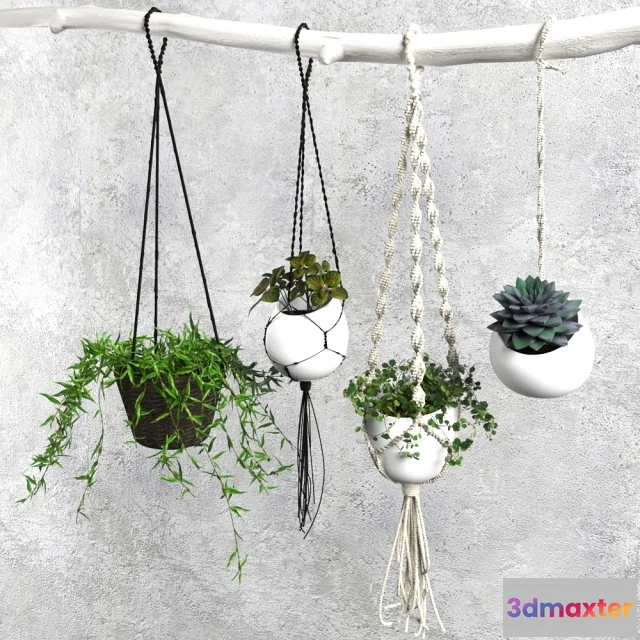 1606404 - decoration - Plant Set 004 3D Max