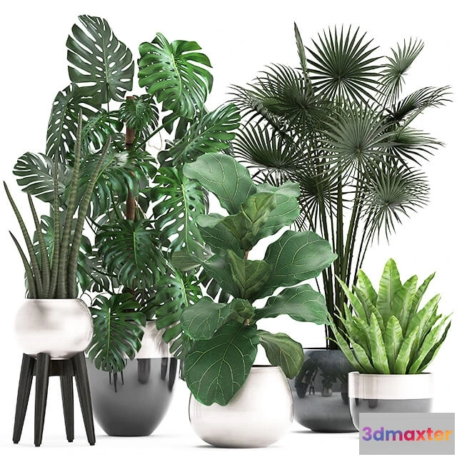 1606406 - decoration - Plant Collection 293 3D Max