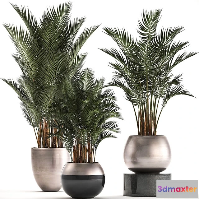 1606416 - decoration - Plant collection 296 3D Max