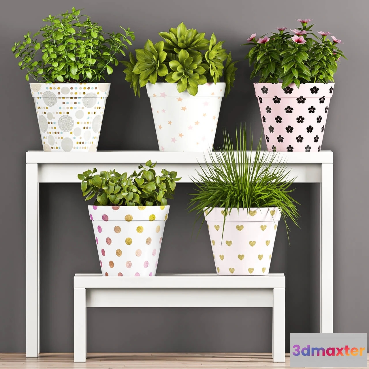 1606422 - decoration - Plant Set _ 69 3D Max