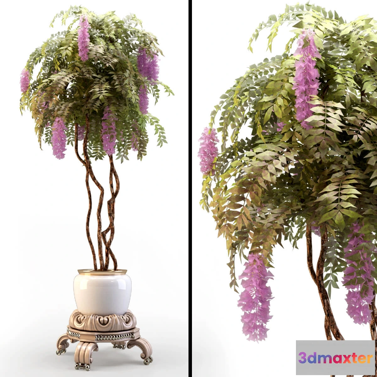 1606424 - decoration - Plant in classic pot 3D Max