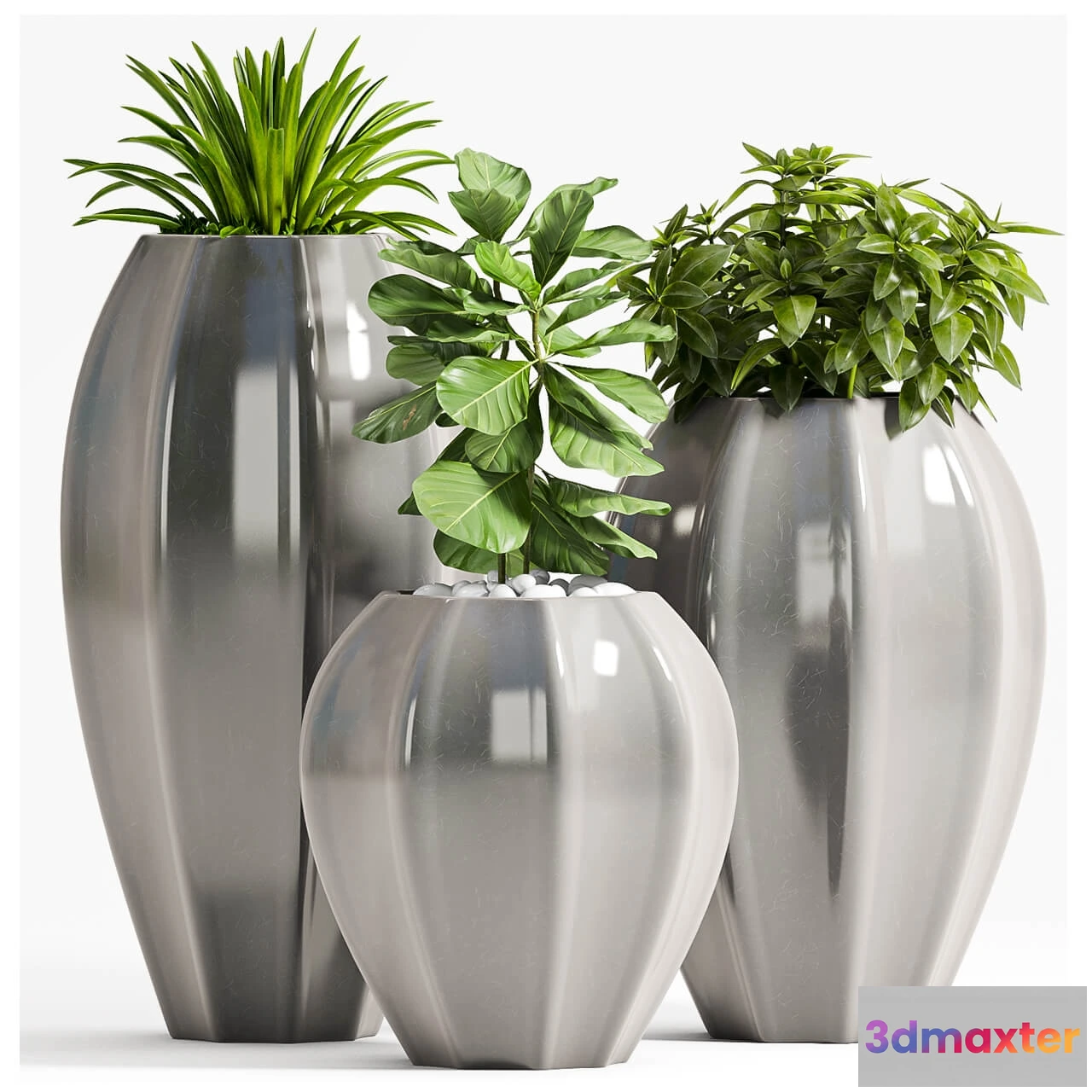 1606430 - decoration - Plant Set _70 3D Max