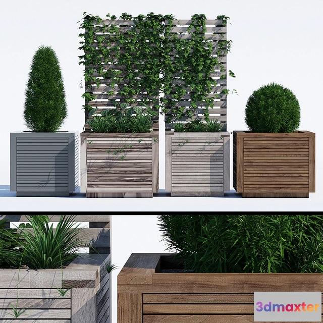 1606434 - decoration - Planters 3D Max
