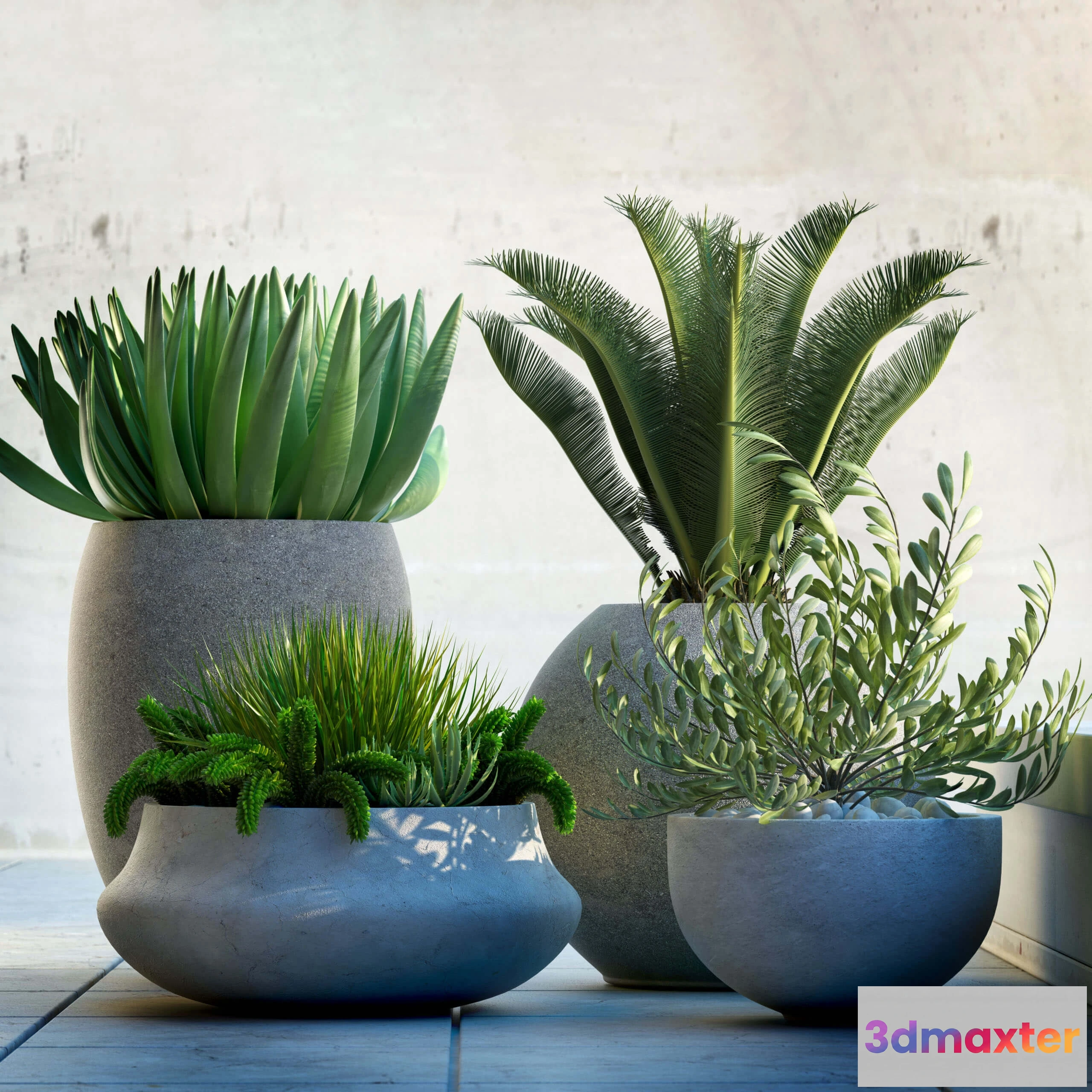 1606436 - decoration - Plants 556 3D Max