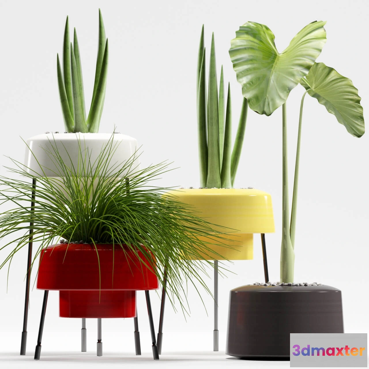 1606440 - decoration - Plants 557 3D Max