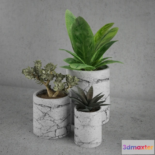 1606444 - decoration - Decorative set plants 230 3D Max