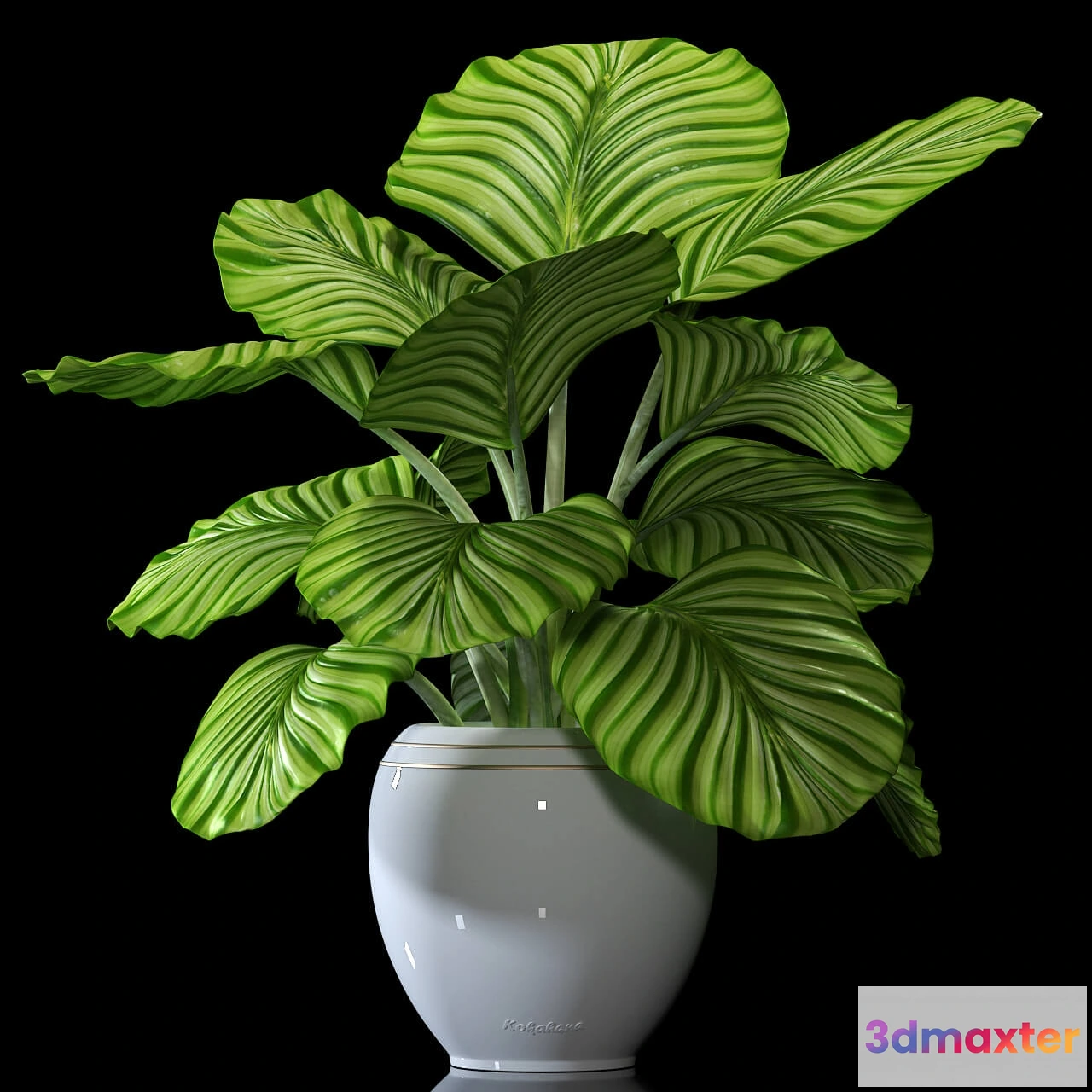 1606446 - decoration - Plants 5062 3D Max