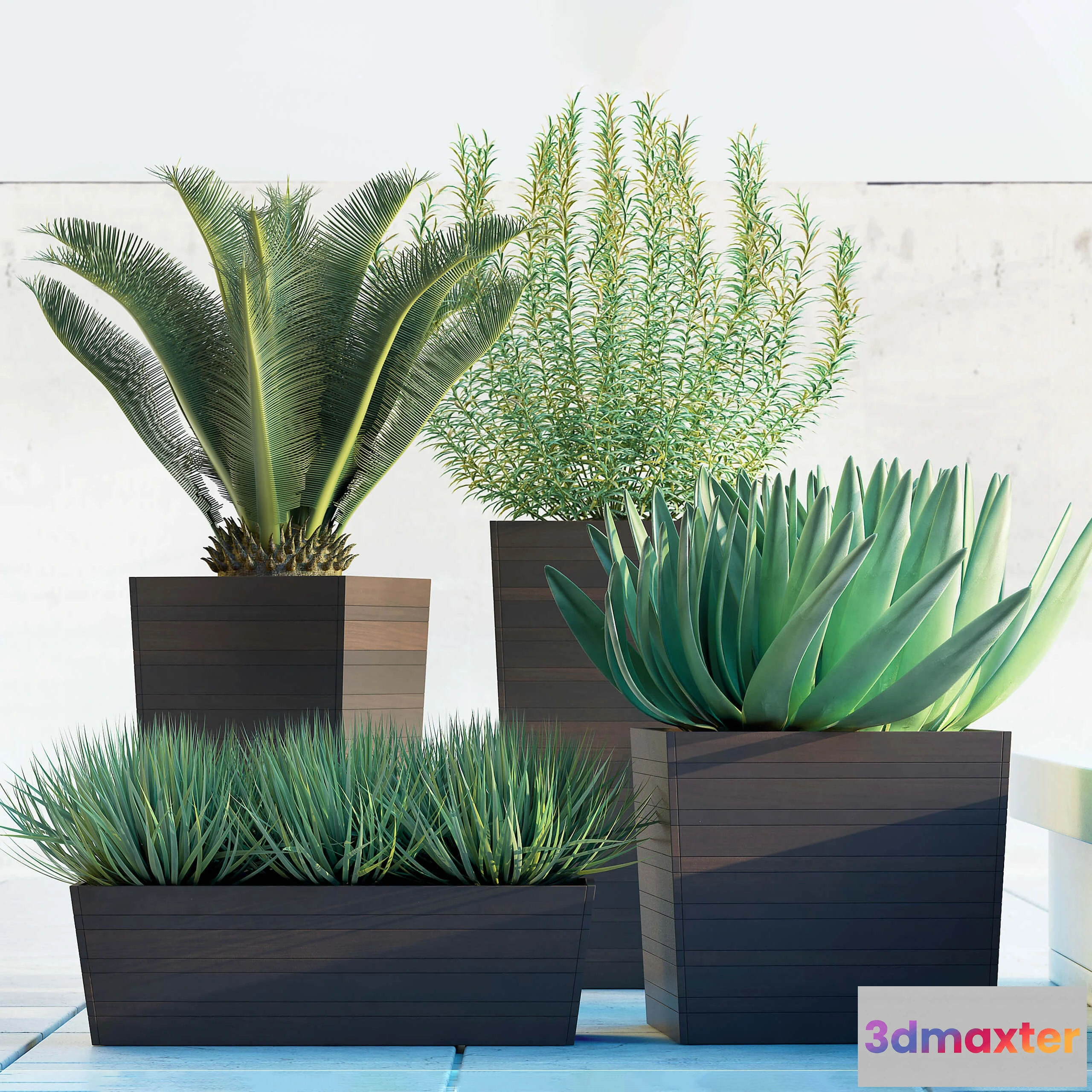 1606452 - decoration - Plants 5055 3D Max