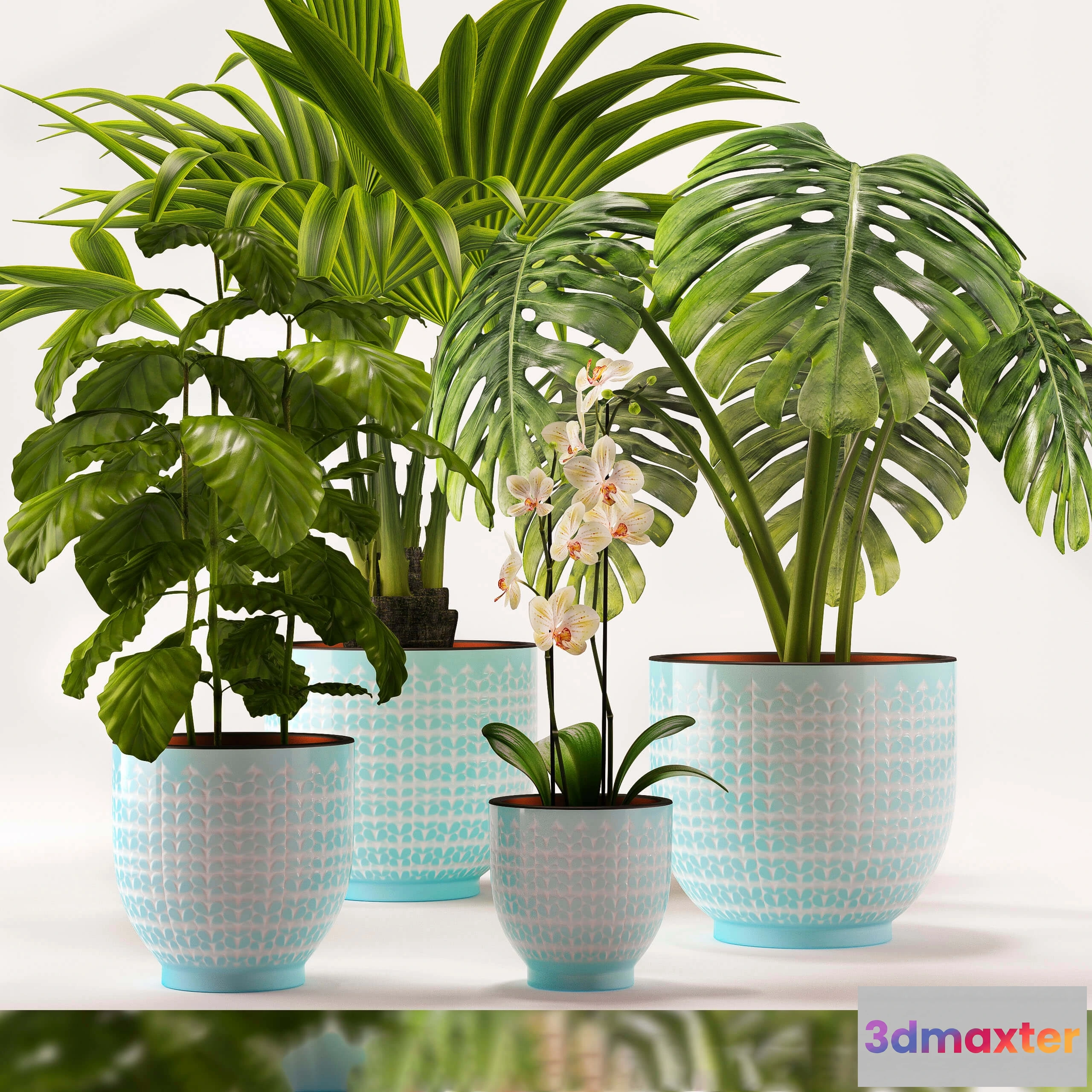 1606458 - decoration - Plants 5060 3D Max