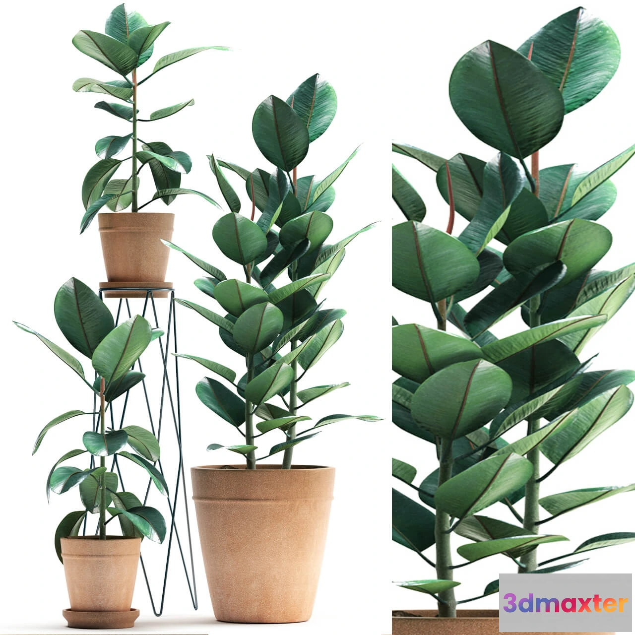 1606462 - decoration - Plants 5061 3D Max