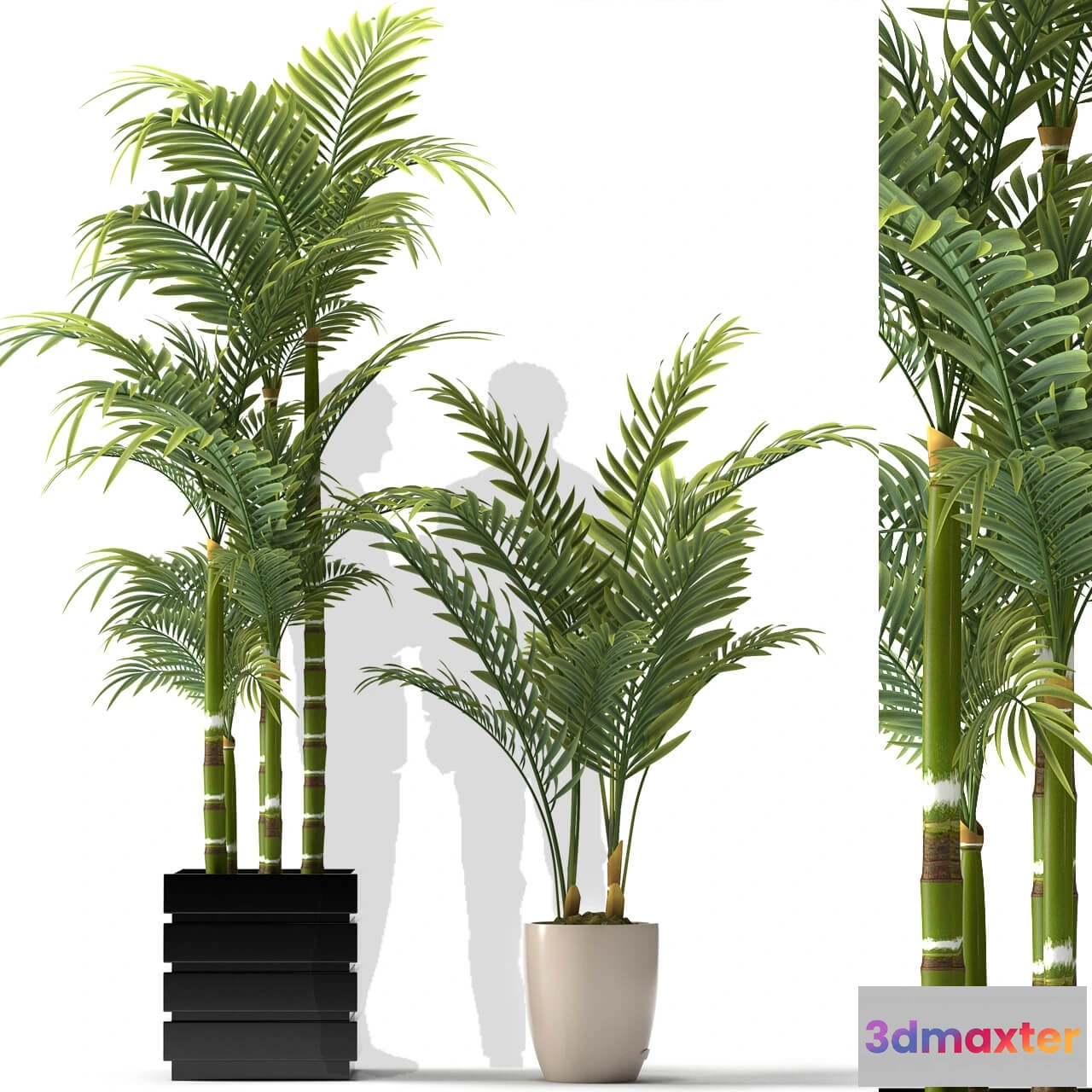 1606464 - decoration - Plants 5056 3D Max