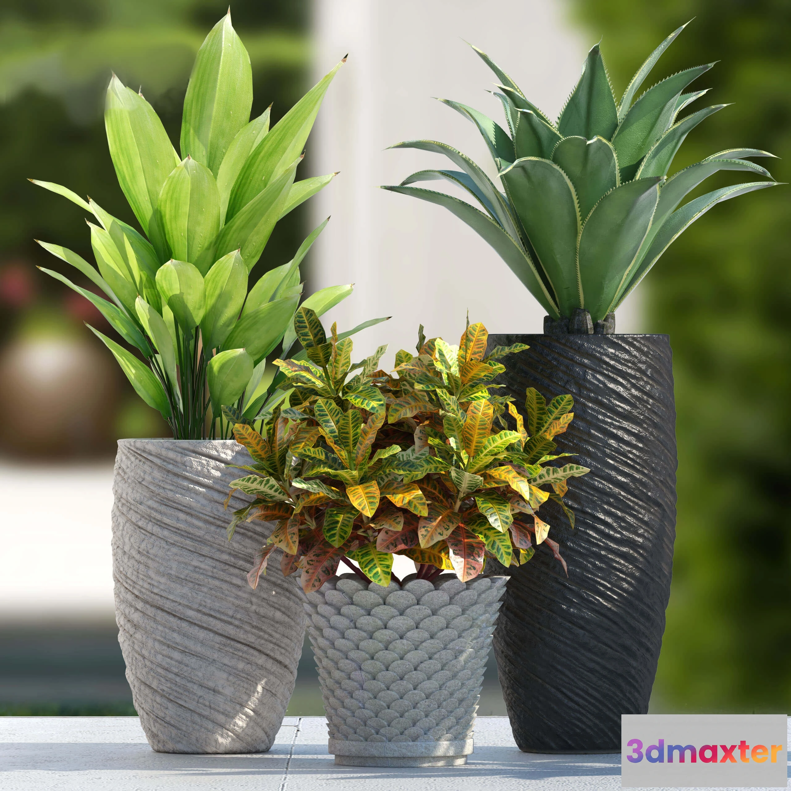 1606466 - decoration - Plants 747 3D Max