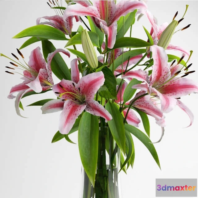 1606472 - decoration - Lily bouquet 14 3D Max