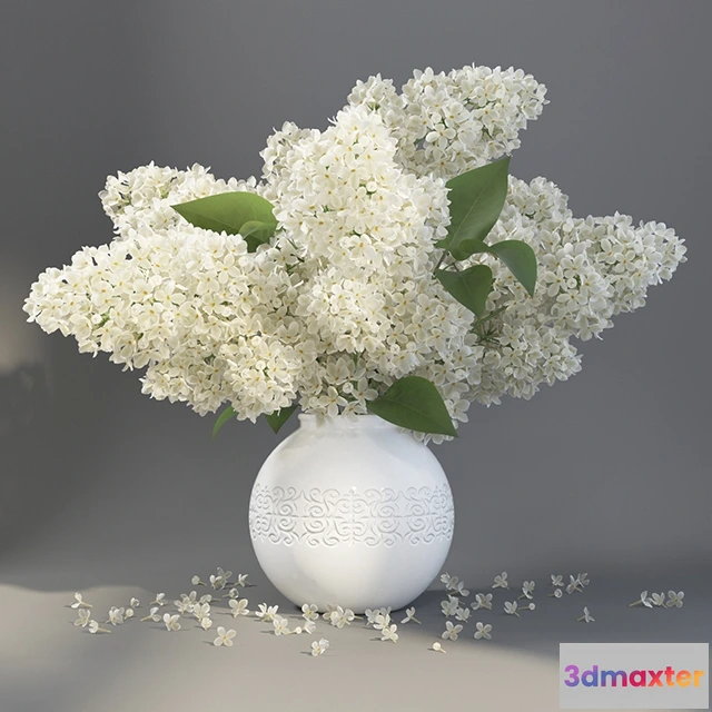 1606484 - decoration - Lilac 6 3D Max