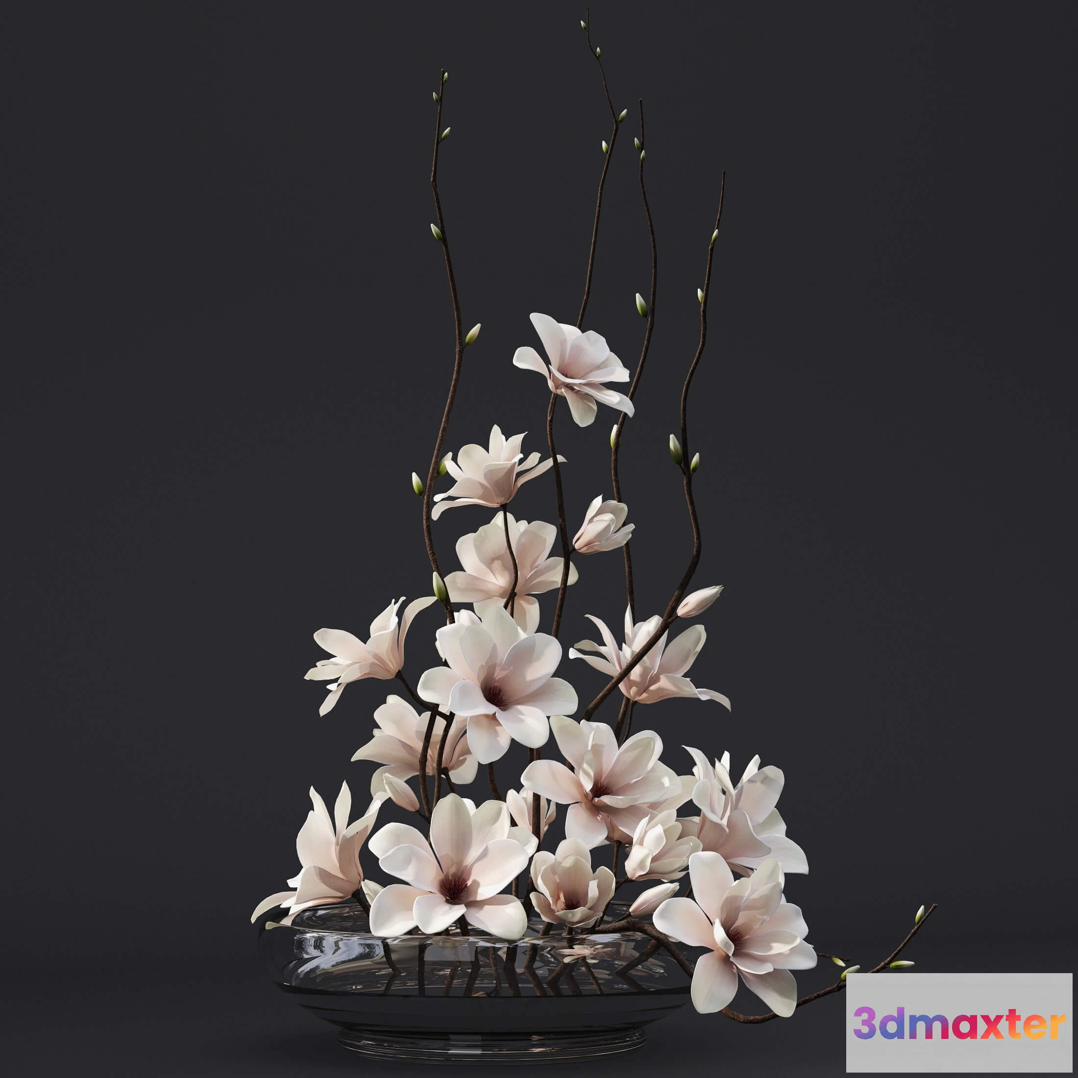 1606494 - decoration - Magnolia 3 3D Max