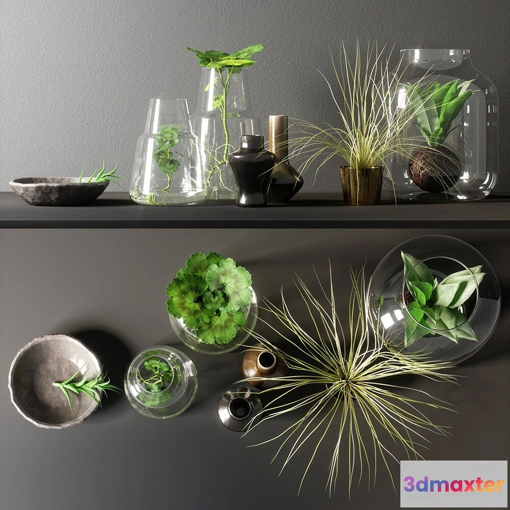 1606500 - decoration - Decorative set plants  69 3D Max