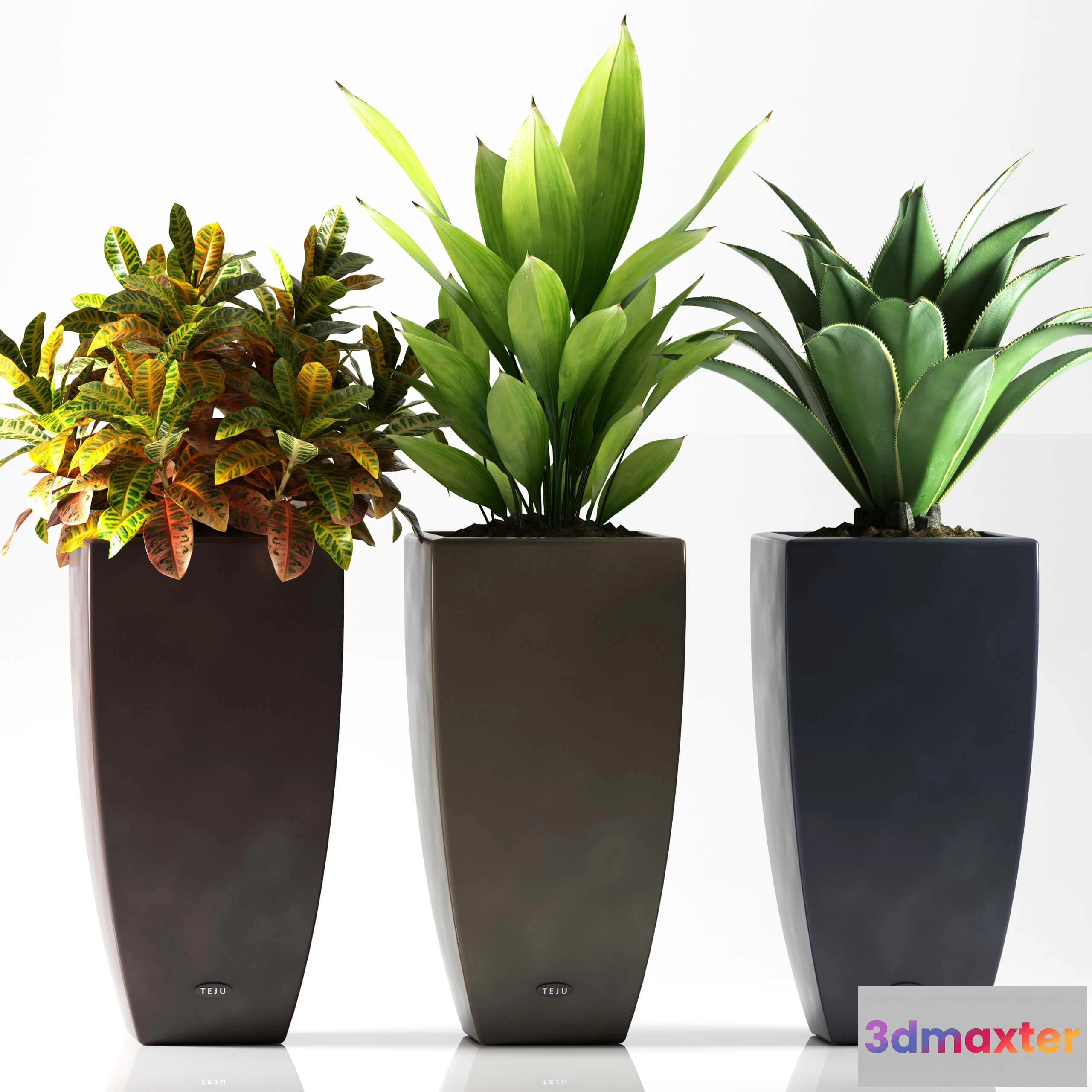 1606504 - decoration - Plants 088 3D Max