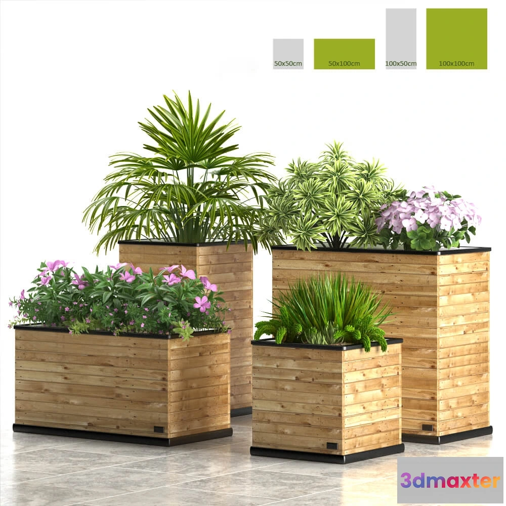 1606506 - decoration - PLANTS 58 3D Max