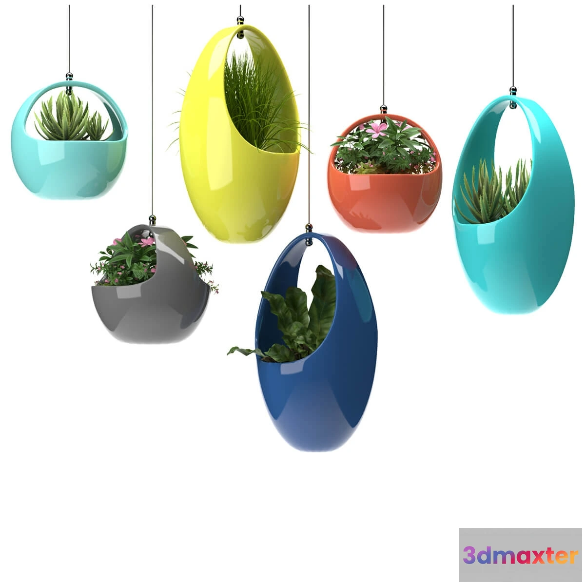 1606514 - decoration - Plants 5656 3D Max