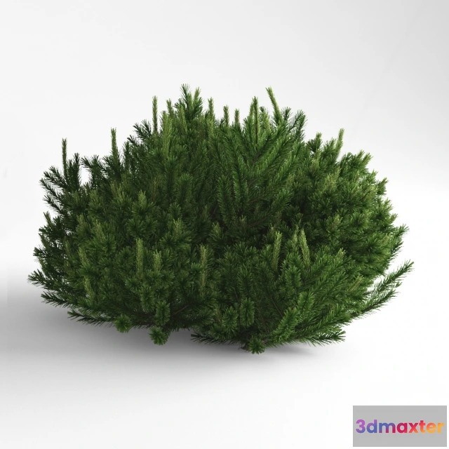 1606528 - decoration - Pine Mountain Mugus 3D Max