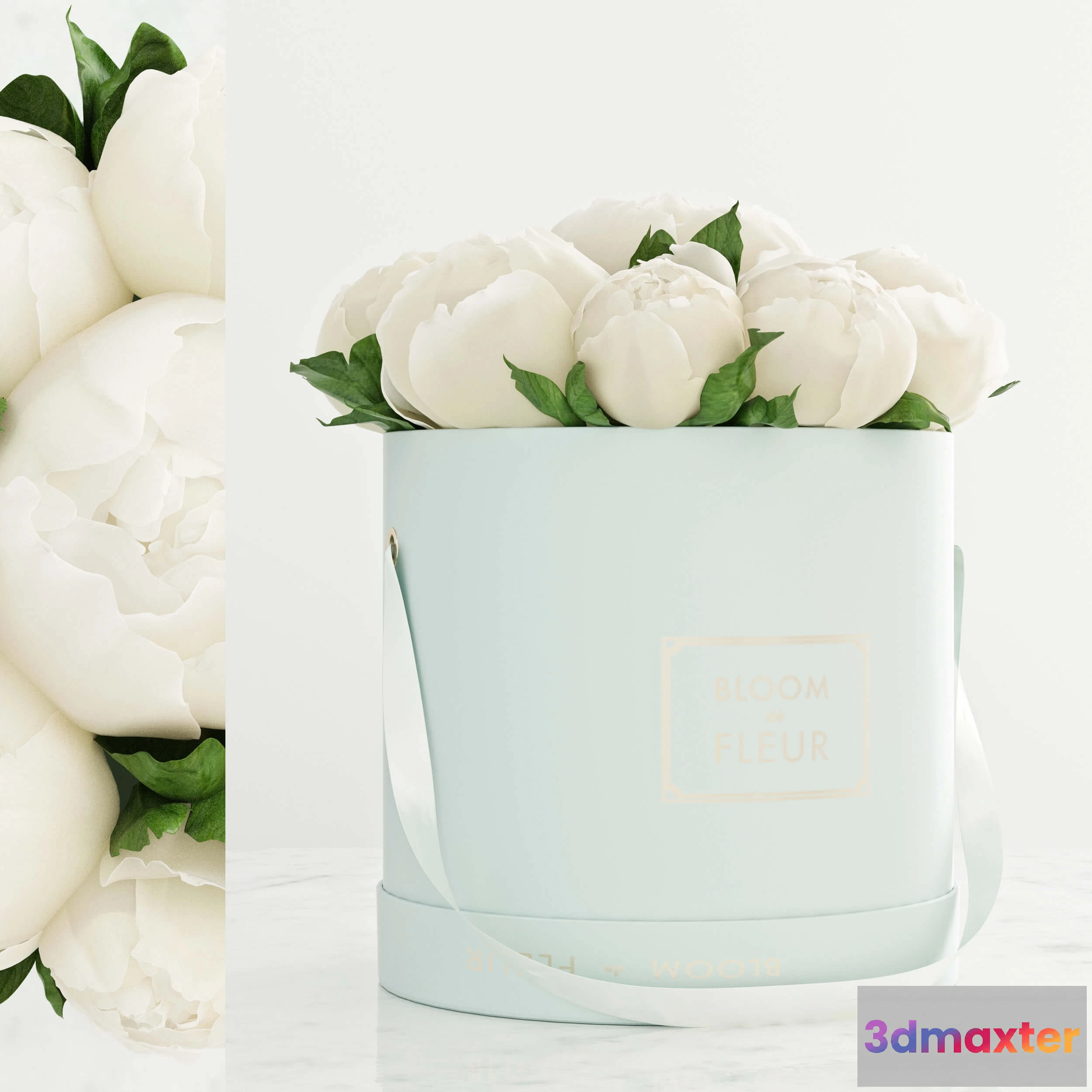 1606544 - decoration - Peonies in a white box 3D Max