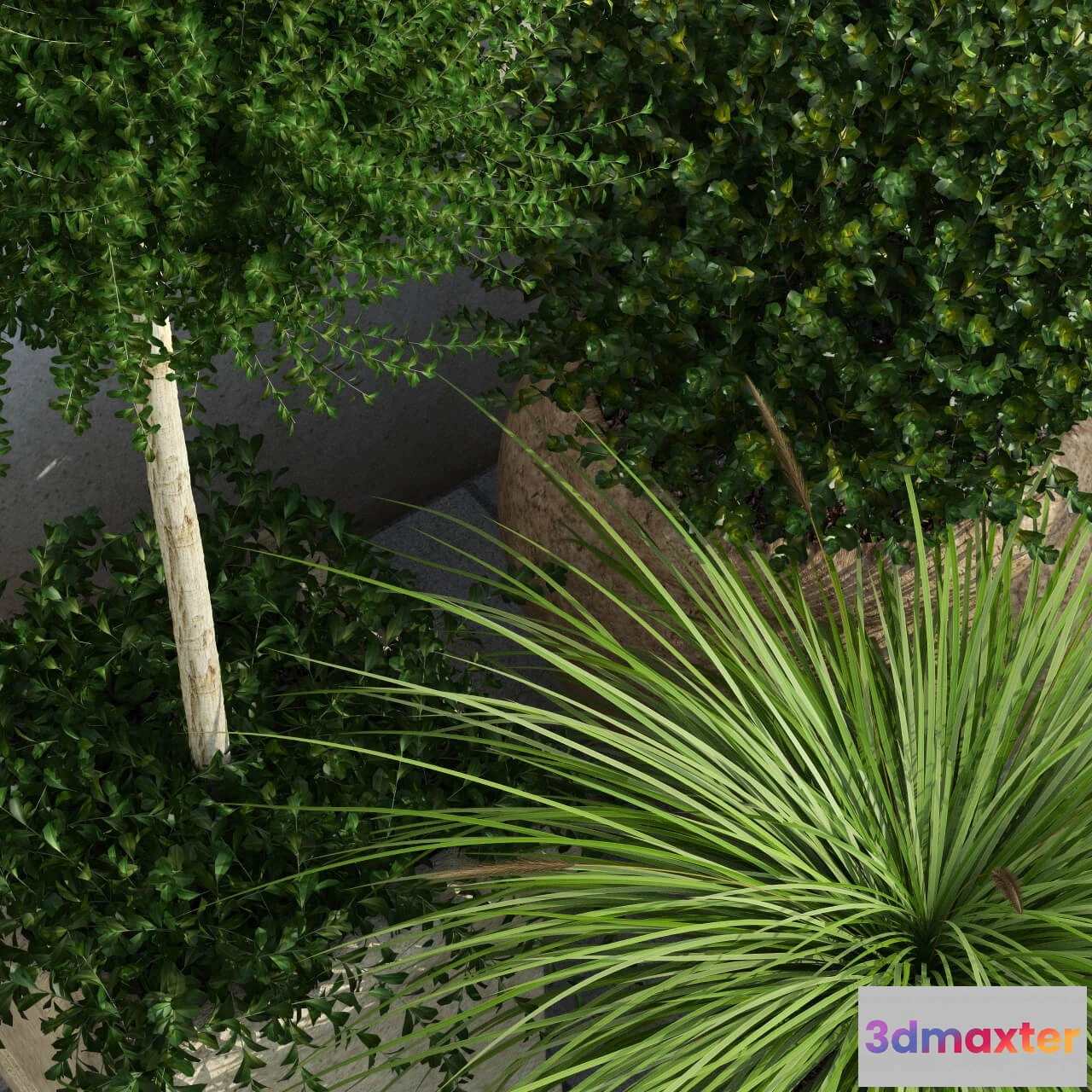 1606562 - decoration - Outdoor Planters 3D Max