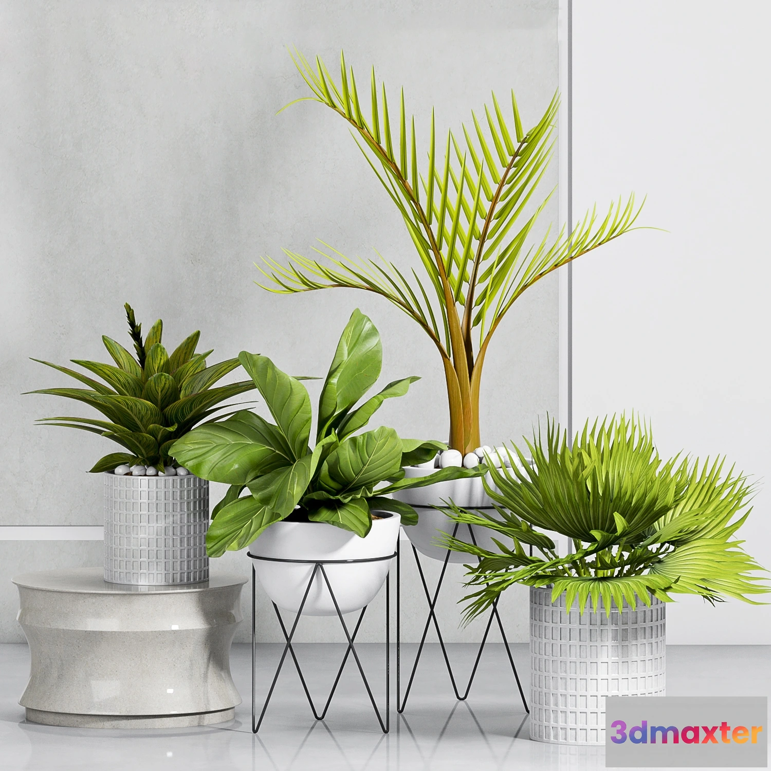 1606566 - decoration - Plants-55 3D Max