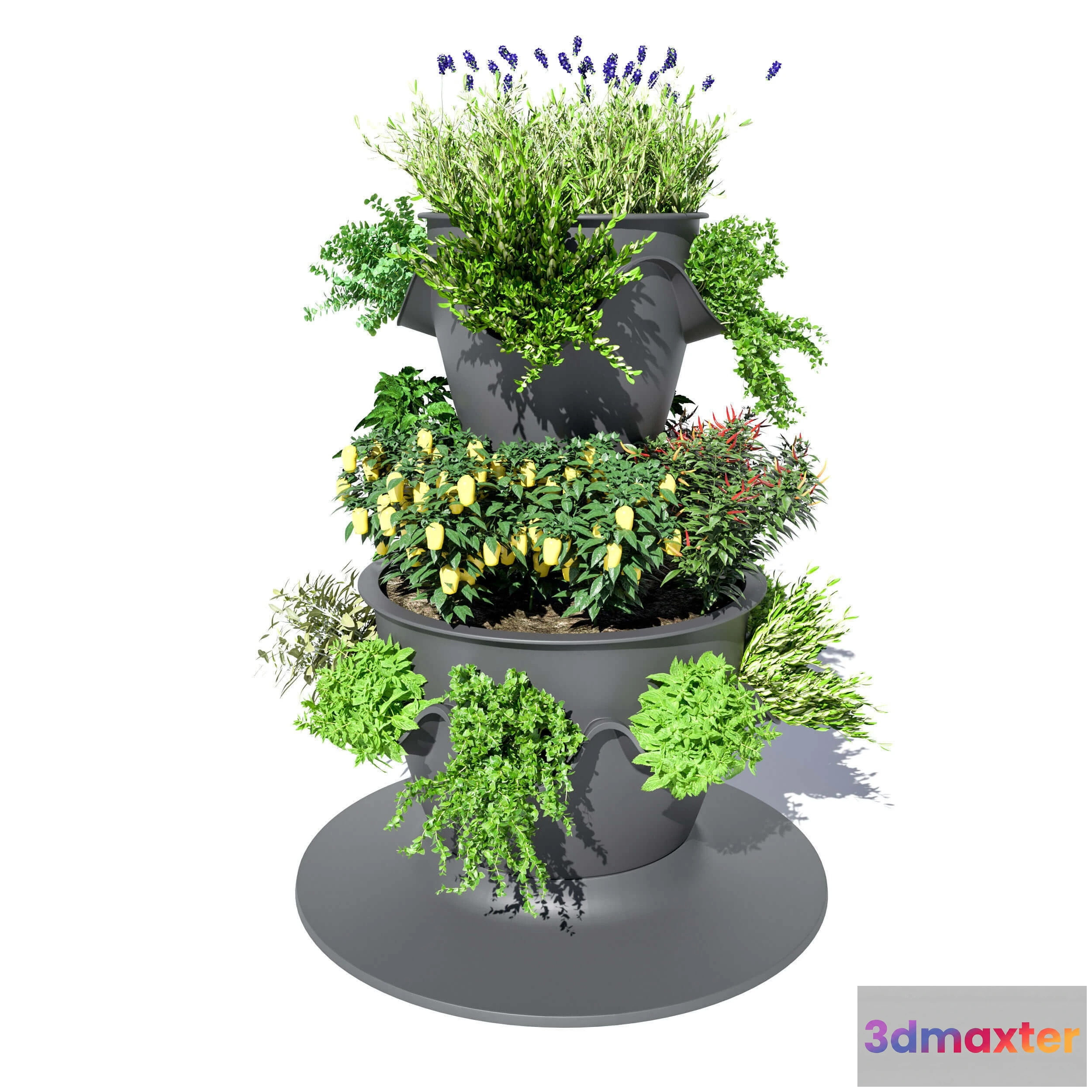 1606568 - decoration - Lechuza set  04 3D Max