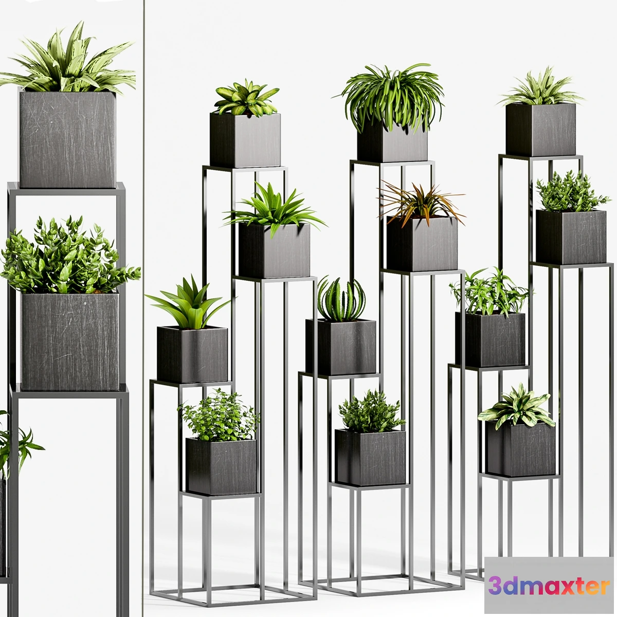 1606576 - decoration - Plants 87 3D Max