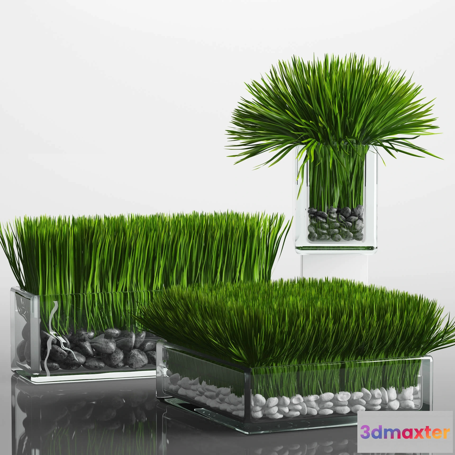 1606588 - decoration - Grass Arrangement 3D Max