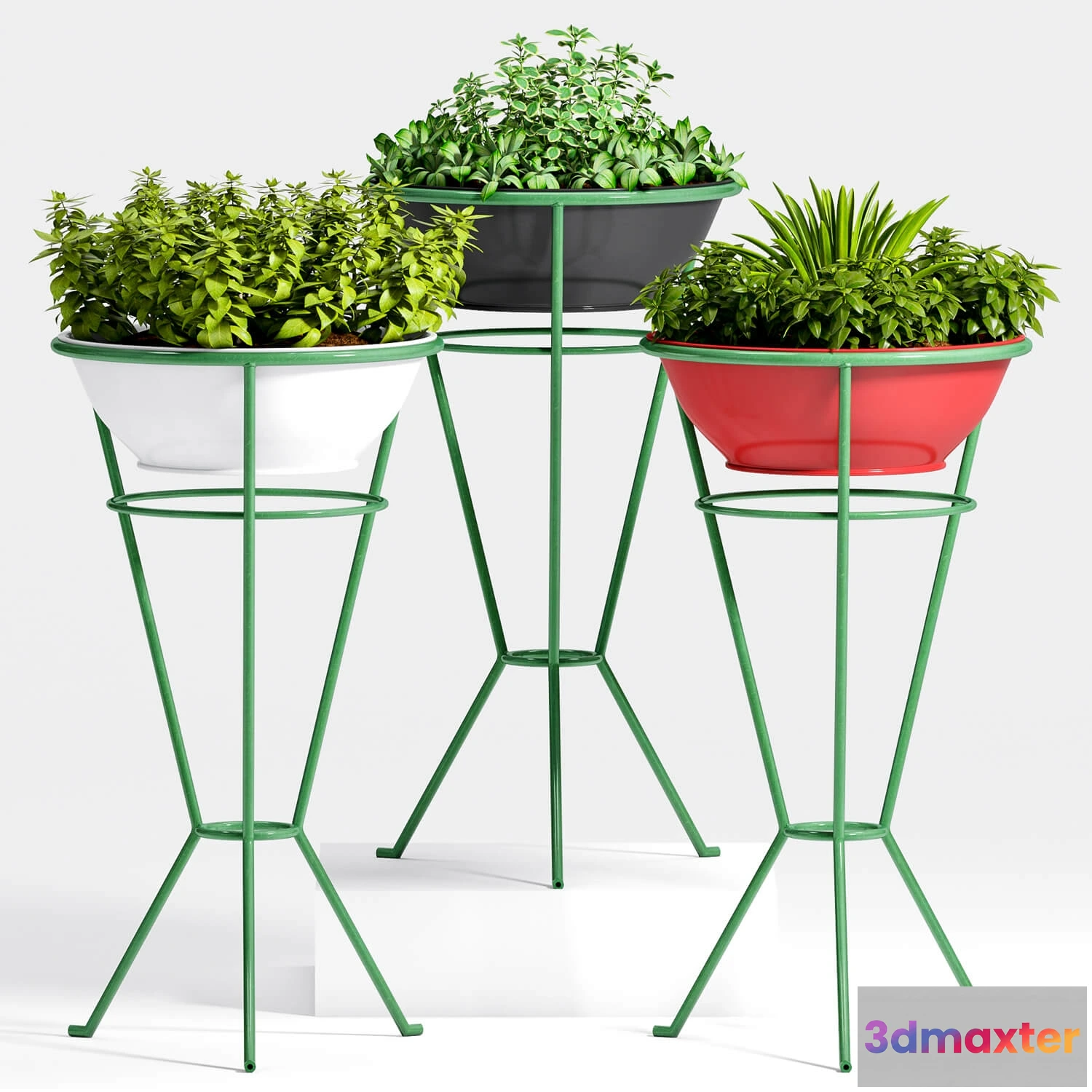 1606590 - decoration - Plants 55 3D Max