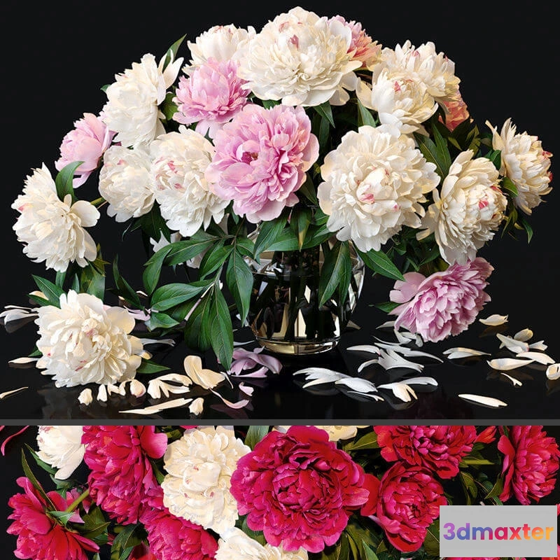1606596 - decoration - Peonies 36 3D Max
