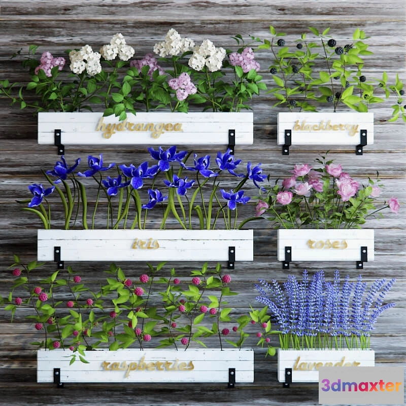 1606620 - decoration - Kitchen garden 5 3D Max