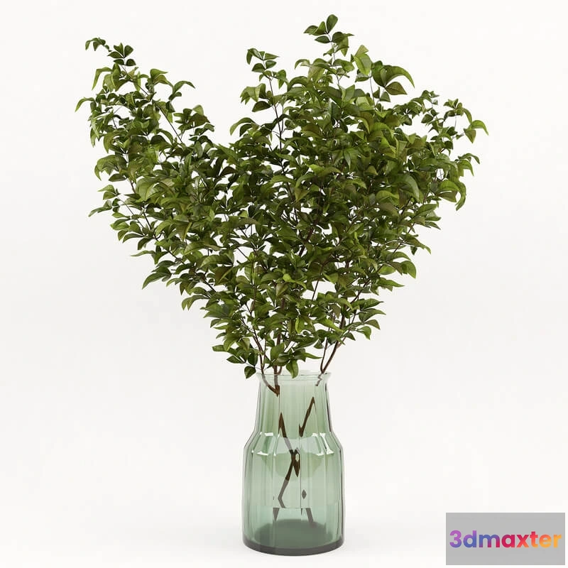 1606636 - decoration - Branches  002 3D Max