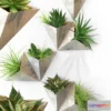 1606666 - decoration - Plant set 3D Max