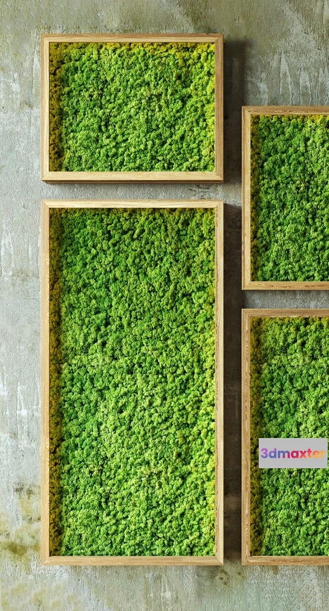 1606684 - decoration - Moss walls 3D Max