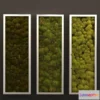 1606692 - decoration - Moss in a frame 3D Max